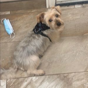 Meet your Posher, Sharon